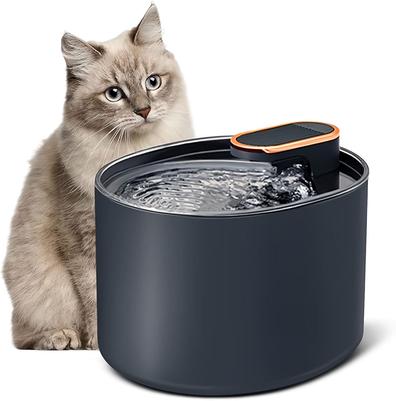 Fuente de agua para mascotas